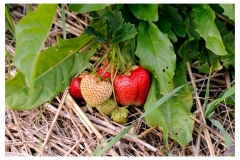Urlaub_2012_473