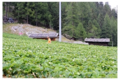 Urlaub_2012_474