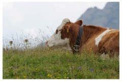 Urlaub_2012_607