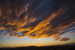 Wald_Himmel_025