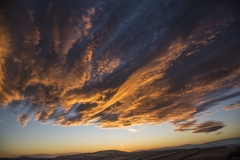 Wald_Himmel_034