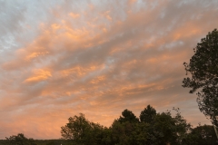Wald_Himmel_037