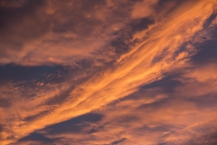 Wald_Himmel_062