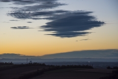 Wald_Himmel_069