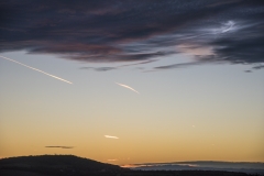 Wald_Himmel_071
