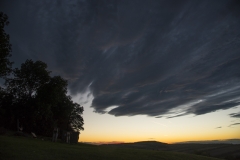 Wald_Himmel_074