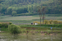 Schlafplatz Marillengarten