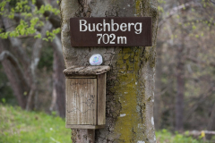 Buchberg_040