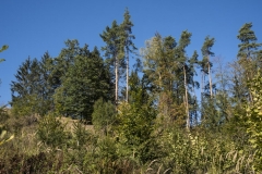 DOBRA_2018_07