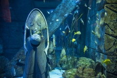 Dubai_077