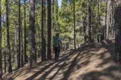 Wandern