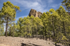 Rouqe Nublo