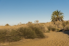 Maspalomas