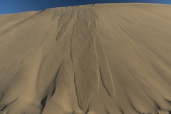 Maspalomas