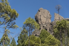 Rouqe Nublo