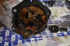 Hilux_Motor_10