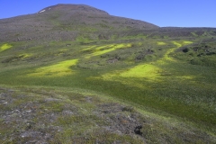 Island_20_049