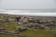 Island_20_129