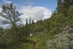 Island_20_179