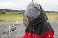 Island_20_233