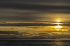 Island_20_420