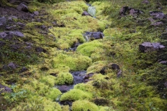 Island_20_522