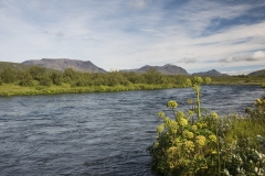 Island_20_573