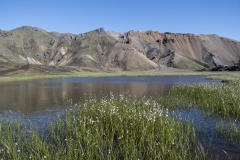 Island_20_630