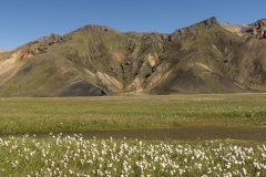 Island_20_635