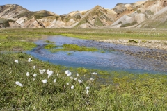 Island_20_691
