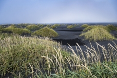 Island_20_912