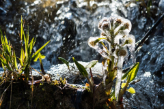 Div_22_021