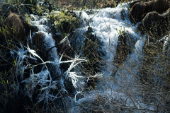 Div_22_023