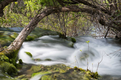 Kroatien_23_111