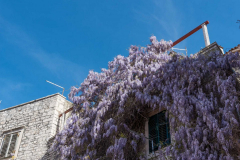 Kroatien_23_139