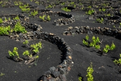 Lanzarote_2022_kl-11