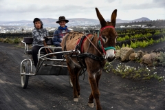Lanzarote_2022_kl-161