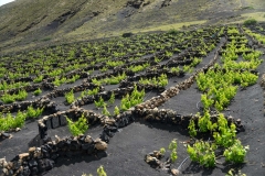 Lanzarote_2022_kl-175