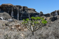 Lanzarote_2022_kl-267