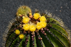 Lanzarote_2022_kl-318