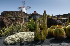 Lanzarote_2022_kl-330