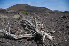 Lanzarote_2022_kl-419