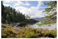 Norwegen16_W_368