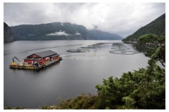 Norwegen16_W_504
