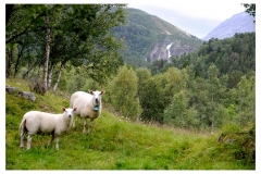 Norwegen16_W_740
