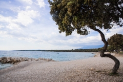 PAG_033