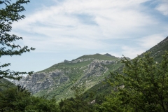 PAG_095