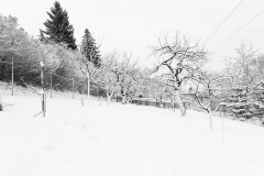 Schnee_Jan-5