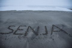 Senja_ 2018