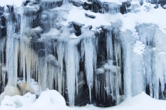 Frozen